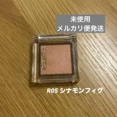 エクセル　アイプランナー　R05 シナモンフィグ