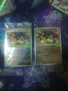 【未開封】イーブイ カラフルキャッチ ポケモンカード 2枚セット