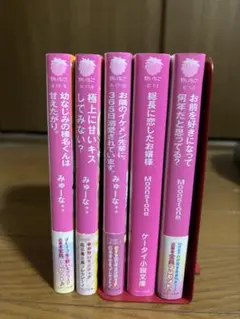 野いちご文庫　全5巻セット