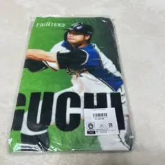 北海道日本ハムファイターズ 谷口雄也 タオル