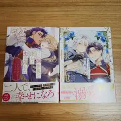 この異世界で僕らは恋に落ちた スキルをなくした騎士様と俺