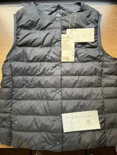 Item thumbnail for item 989420a2-6be8-4682-8a4d-be70fa94aa7a