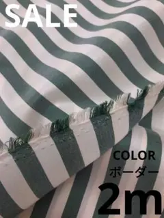 生地・COLORボーダー〈2m〉