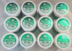 キシリトール XYLITOL ガム ライムミント ファミリーボトル 12個