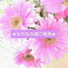 ★もちもち様ご専用★花ねこスマホスタンド４点