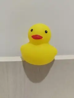 はぐれもの