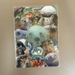 鳥羽水族館　コレカ　レア