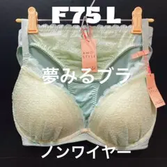 夢みるブラ(R) ノンワイヤー ブラ＆ショーツセット デイジーシャワー F75