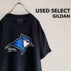 古着 “GILDAN” Minnesota West College Tee