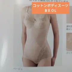 Item thumbnail for item d977117b-0250-4e18-a5a5-e31a75d4f320