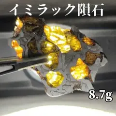 【パラサイト隕石】イミラック隕石 8.7g ケースu0026カード付き