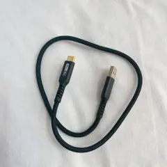 SUNGUY USB Type C ケーブル 0.5m ブラック
