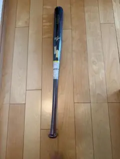 Item thumbnail for item 50c28e98-dc61-4e79-a2ee-3a34eb81901f