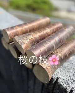 農薬不使用乾燥、桜木、枝、生木、ハンドメイド、自然栽培