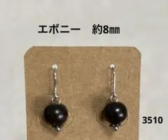 ピアス　エボニー(3510)