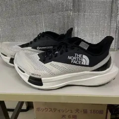 ザ・ノース・フェイス　ランニングシューズサミットベクティブプロII