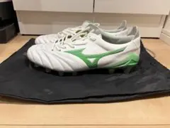 モレリアネオ4 26cm