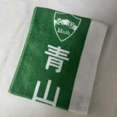 青山学院大学 駅伝 タオル