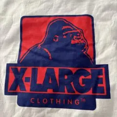 【美品】Ｘ-LARGEメンズＴシャツ