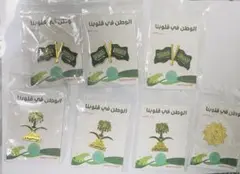 サウジアラビア ピンバッジセット 7 set