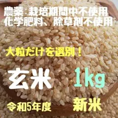 令和5年 群馬県産 低農薬 くず米　精米済20kg 2025年最新】令和5年 くず米の人気アイテム - メルカリ