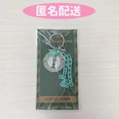 ヒロアカ緑谷出久メリれアクキー