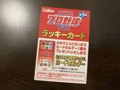 プロ野球チップス2025 ラッキーカード