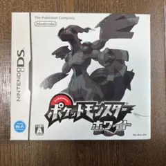 NintendoDS ポケットモンスターホワイト