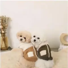 Item thumbnail for item 591560f4-1972-4bbc-abc1-ae383b86bc8b