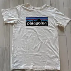 patagonia ホワイト Tシャツ XXL