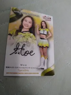 Item thumbnail for item 01cf7e32-3aac-4d52-9b5e-a0283e974e2e