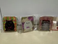シープラ限定ガチャ　おめかし猫ブローチ　はくたちひろ　③個セット