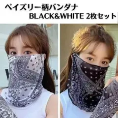 フェイスマスク 2枚 ペイズリー柄 スカーフ バンダナ ネックカバー