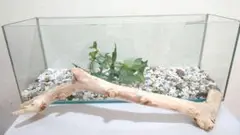流木