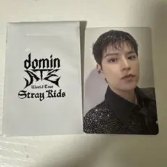 スンミン　トレカ　domin ATE ワルツグッズ