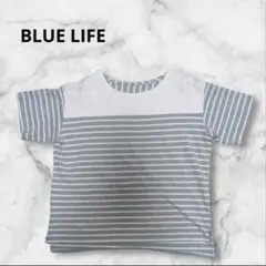 BLUE LIFE 半袖 Tシャツ ストライプ Fサイズ レディース