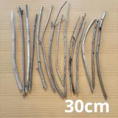 Item thumbnail for item c97cc460-825c-49a8-9eb0-aaf97ad6a4a0