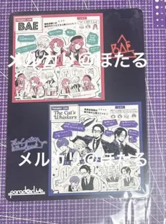 パラライ　ファンブック　アニメイト　特典　BAE TCW cozmez 悪漢奴等