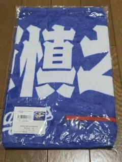 中日ドラゴンズ 小笠原慎之介