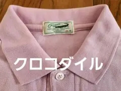 クロコダイル　ポロシャツ