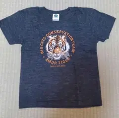 COLORATA トラ柄半袖Tシャツ 130cm