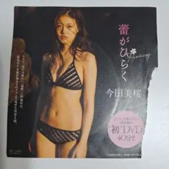 今田美桜　プレイボーイ特別付録　DVD　『蕾がひらく』