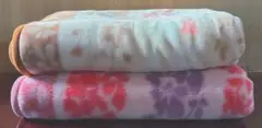 アクリル毛布 2枚セット シングル