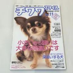 チワワスタイル 11