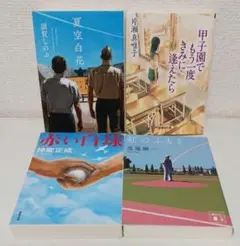 堂場瞬一「虹のふもと」、片瀬真唯子「甲子園でもう一度きみに逢えたら」など４冊