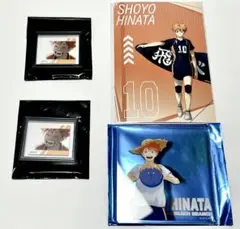 日向翔陽 フレームマグネット、コースター、ポストカードセット　ハイキュー
