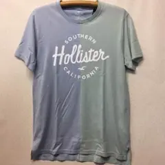 HOLLISTER ホリスター 半袖Tシャツ M 未使用