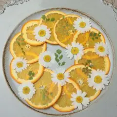 押し花　オレンジ10枚セット