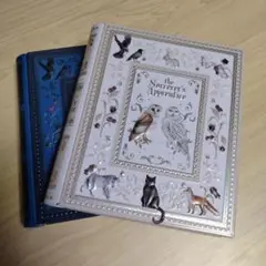 Item thumbnail for item 4079433f-0562-423c-a83e-2ad3d3997965