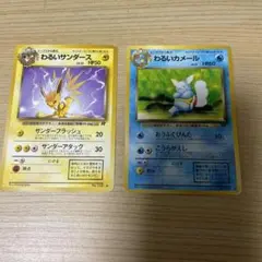 わるいサンダースとわるいカメール セット